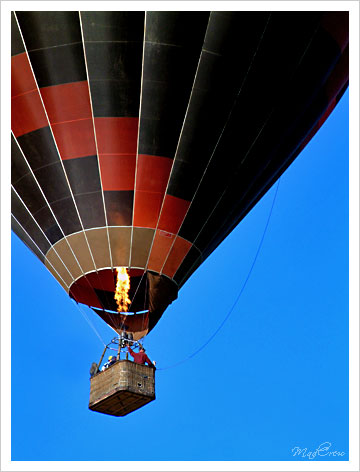 hot air balloon